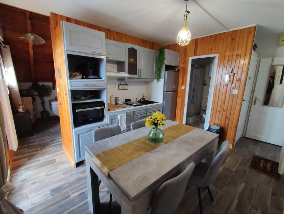 Appartement Superbe Loft cocooning en Montagne avec balcon à Ustou Extérieur photo